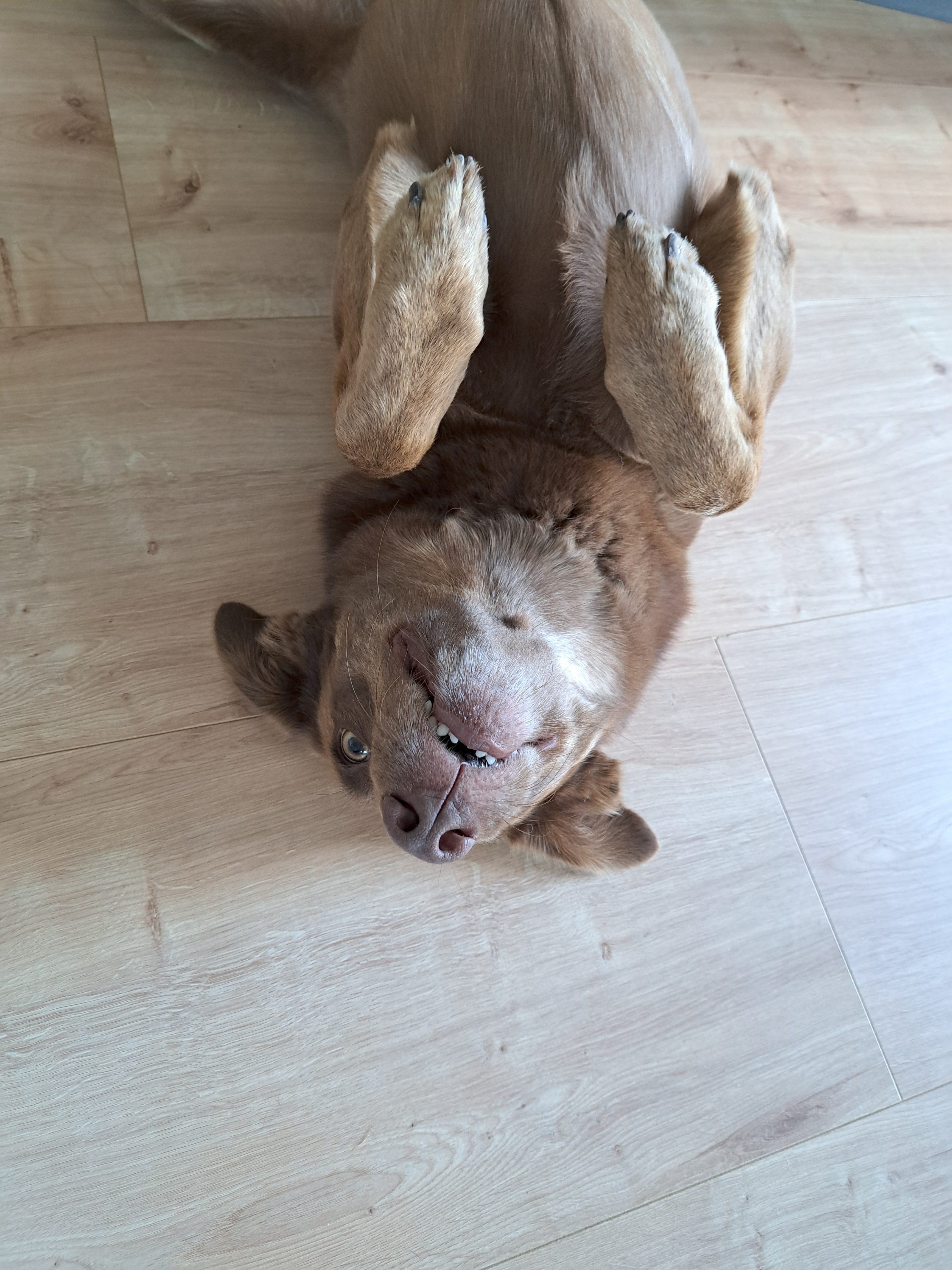 Nelly_1000084948.jpg